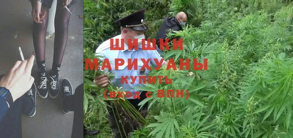 крисы Абаза