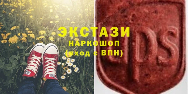крисы Абаза