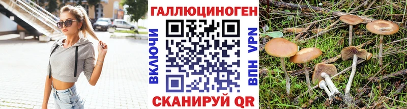 Галлюциногенные грибы Cubensis ссылка на мегу как войти Ивантеевка где купить наркотик